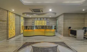 Treebo Premium Metropolis - Reception
