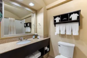 Best Western Plus Arlington North Hotel & Suites - Salle de bain