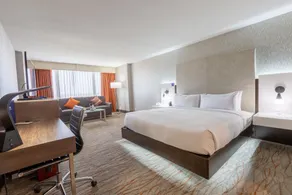 DoubleTree by Hilton Dallas - Richardson - Chambre