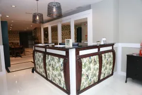 New Point Opera - Reception