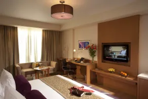 Radisson Blu Hotel, Indore - Room