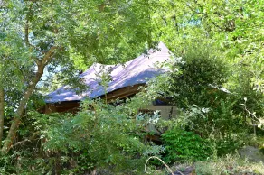 Prehistoric Lodge - Adult Only - Zimmer