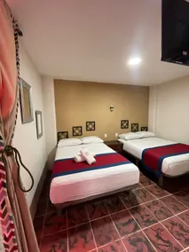 Hotel Flamingos - Chambre