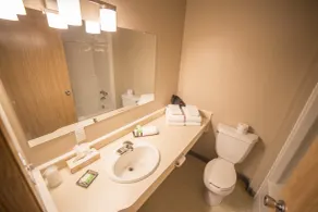 Bedrock Motel - Bagno