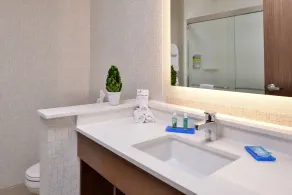 Holiday Inn Express & Suites Alachua - Gainesville Area by IHG - Salle de bain