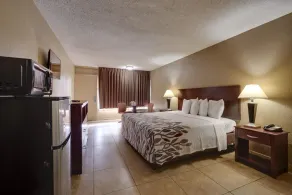 Countryside Inn & Suites Orlando - Værelse