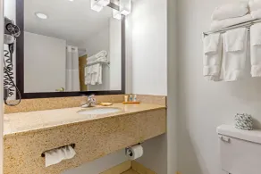 Country Inn & Suites by Radisson, Newport News South, VA - Salle de bain