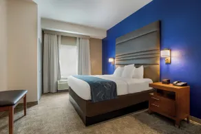 Comfort Suites Denham Springs - Chambre