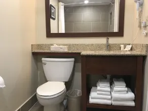 Comfort Inn Edgewater on Hudson River - Bathroom