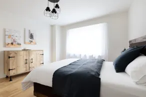 Nest - Riehenring - Camera