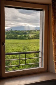 Tenuta Malvolti - Al Vecchio Convento - View from room