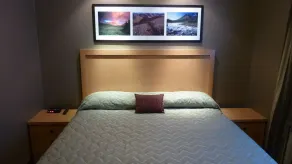 Woodlands Inn & Suites - Rom