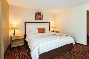 Hawthorn Suites by Wyndham Allentown-Fogelsville - Chambre
