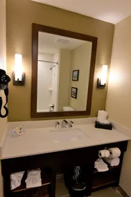 Comfort Inn & Suites Rock Hill Northeast - Salle de bain