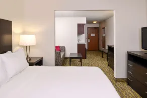 Holiday Inn Express & Suites Omaha West by IHG - Room