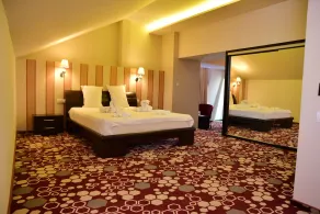 Bacolux Craiovita, Craiova - Room