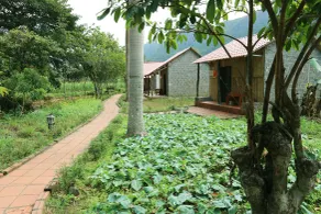 Viet Hai Lan Homestay - Terrenos do alojamento