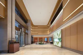 Hilton Garden Inn Linyi Shangcheng - Reception