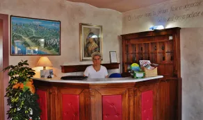 Albergo Miramonti - Réception