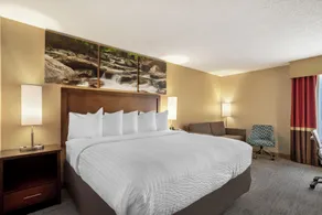 Clarion Pointe Cherokee - Rom