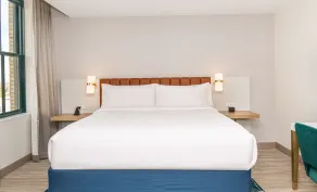 Hilton Garden Inn Flint Downtown - Chambre