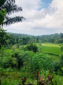 Serenity Lodge Tetebatu Lombok - Ausblick vom Zimmer