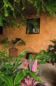 Casa Marisa - Réception