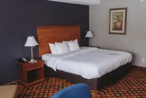 Americinn by Wyndham Appleton Downtown - Værelse