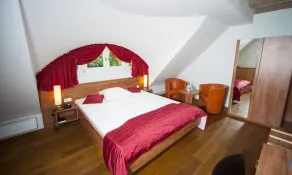 Hotel zum Hofmaler - Room