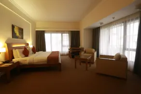 The Avenue Regent - Room