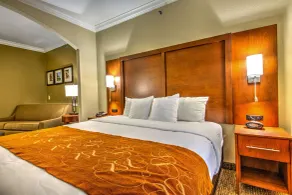 Comfort Suites Tomball Medical Center - Chambre