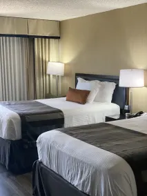 Wingate by Wyndham Springfield - Chambre