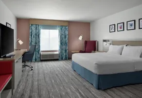 Hilton Garden Inn Tampa East/Brandon - Chambre