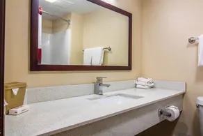 Red Roof Inn Perrysburg - Salle de bain