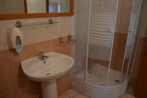 Apartmani Dub - Baño