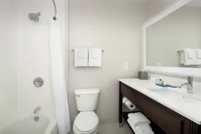 Holiday Inn Express Puyallup by IHG - Bathroom