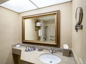 Austin Southpark Hotel - Bathroom