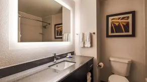 Best Western Plus Pineville-Charlotte South - Salle de bain