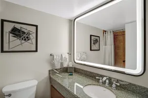 Hilton Arlington National Landing - Salle de bain
