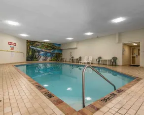 Quality Inn & Suites Bay Front - Piscine