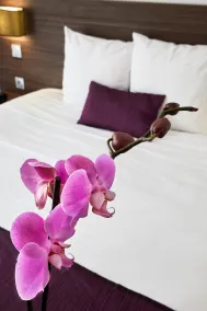 Hotel Libera Spa et Restaurant Caen Colombelles - Værelse