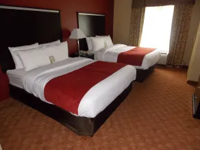 Comfort Suites Old Town Spring - Værelse
