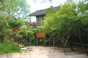 Pezulu Tree House Lodge - Vista do quarto