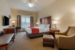 Comfort Inn & Suites Fort Myers Airport - Chambre