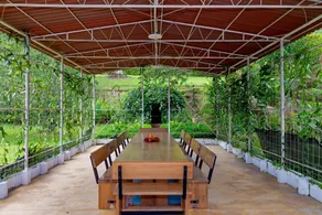 Casa Rivera del Cacao - Restaurant
