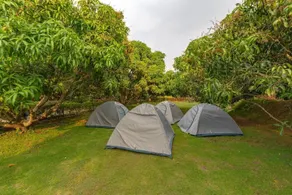 Q Mango Resort - Zimmer