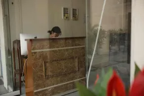Peony House Trade Hotel II - Resepsjon