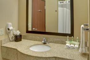 Holiday Inn Express Hotel & Suites Texarkana East by IHG - Bathroom
