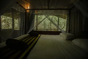 Inn On The Tree Eco Resort Sigiriya - Quarto