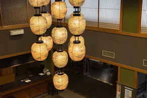 Kurobe view hotel - Hall